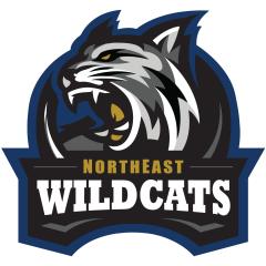 NE Wildcats’ Summer Slam